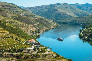 Wineries along the Douro River