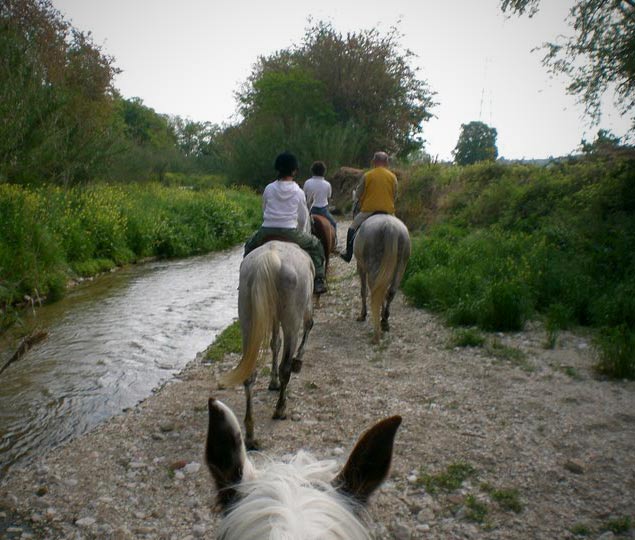 horse riding