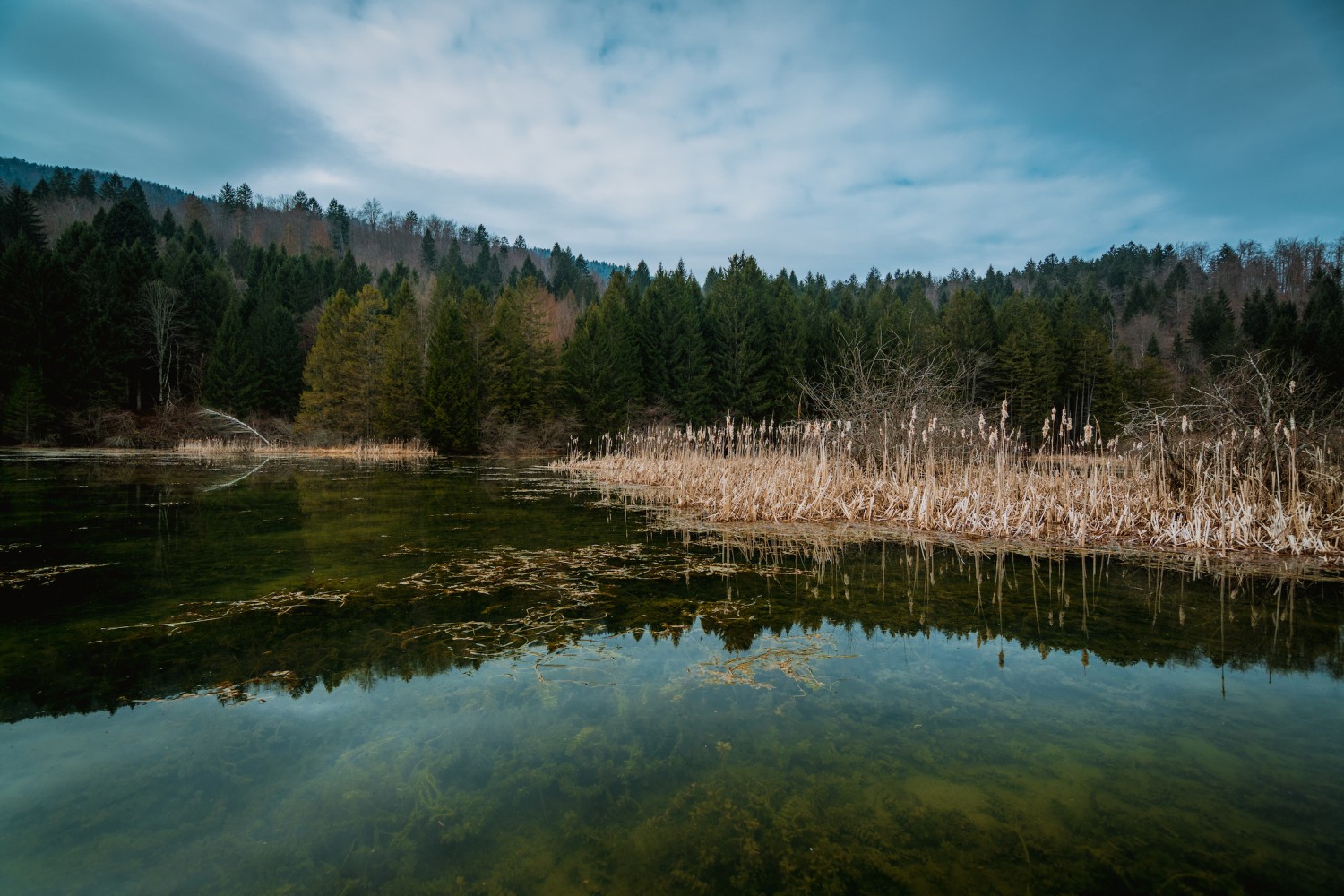 Slovenia Charm